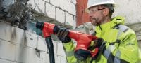 TE 500 SDS-Max skaldos plaktukas Tvirtas „SDS Max“ (TE-Y) griovimo plaktukas, skirtas lengvų apkrovų kalimo darbams su betonu arba mūru Aplikacijos 8