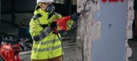 TE 500 SDS-Max skaldos plaktukas Tvirtas „SDS Max“ (TE-Y) griovimo plaktukas, skirtas lengvų apkrovų kalimo darbams su betonu arba mūru Aplikacijos 10