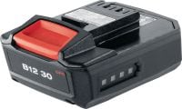 B 12-30 12 V akumuliatorius Kompaktiškas ir itin lengvas 12 V ličio jonų akumuliatorius